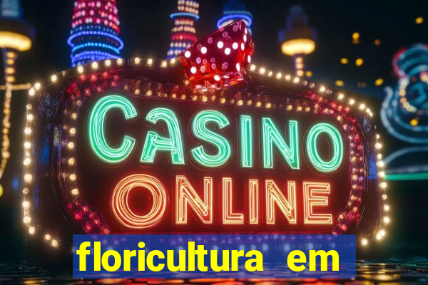 floricultura em franca sp